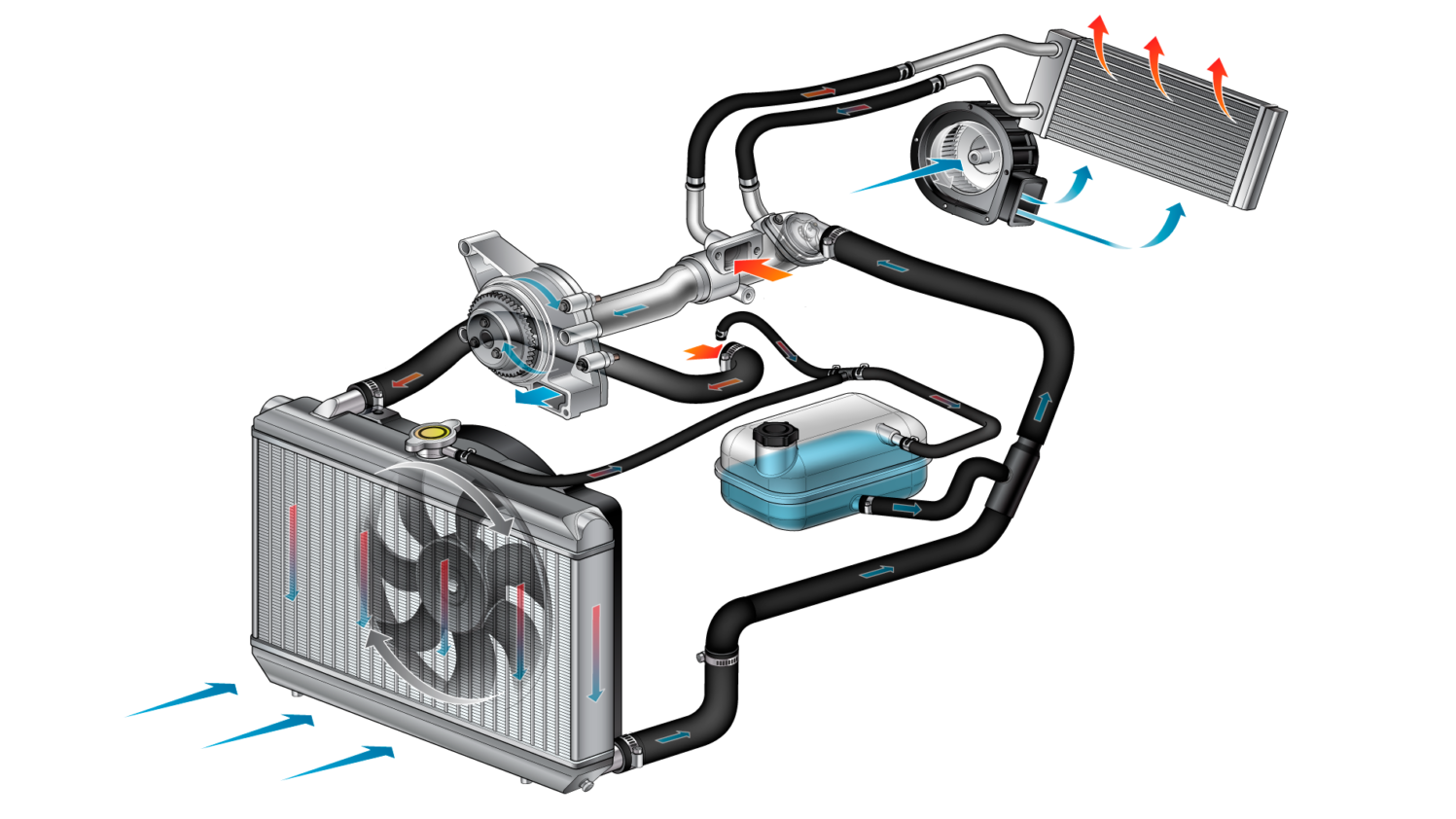 Патрубки системы охлаждения на Volkswagen Crafter (Фольксваген Крафтер)