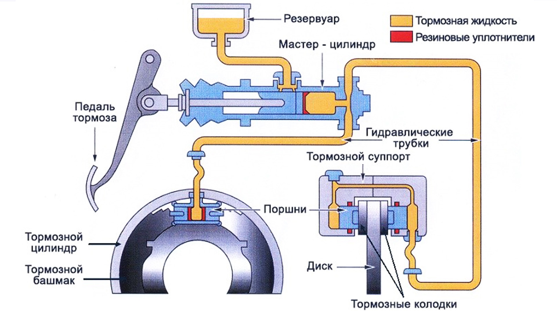 Схема гидравлической тормозной системы автомобиля